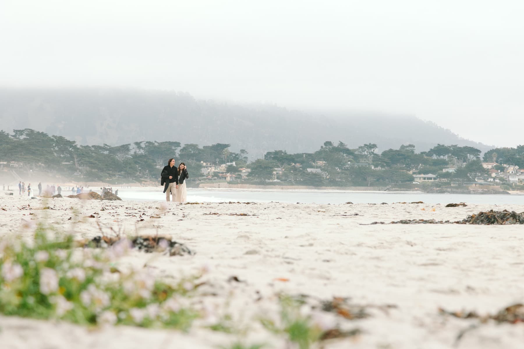 Proposal photo 2