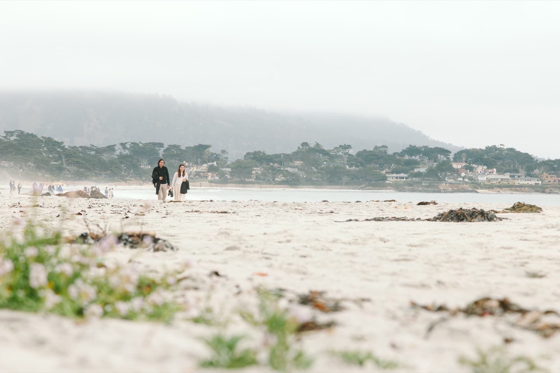 Proposal photo 3